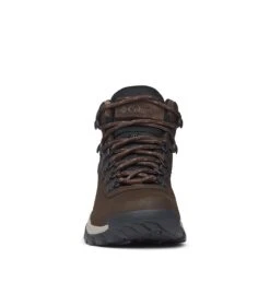 Columbia Newton Ridge Plus Waterproof Hiking Boots - Womens Cordovan / Crown Jewel -Columbia Sale Store 1618890984 BL3783 231 7