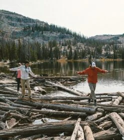 Columbia Silver Ridge Convertible Pant - Womens Fossil -Columbia Sale Store 1666093270 AL8002 160 5