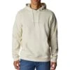 Columbia CSC Basic Logo II Hoodie - Mens Chalk / Ripples Graphic